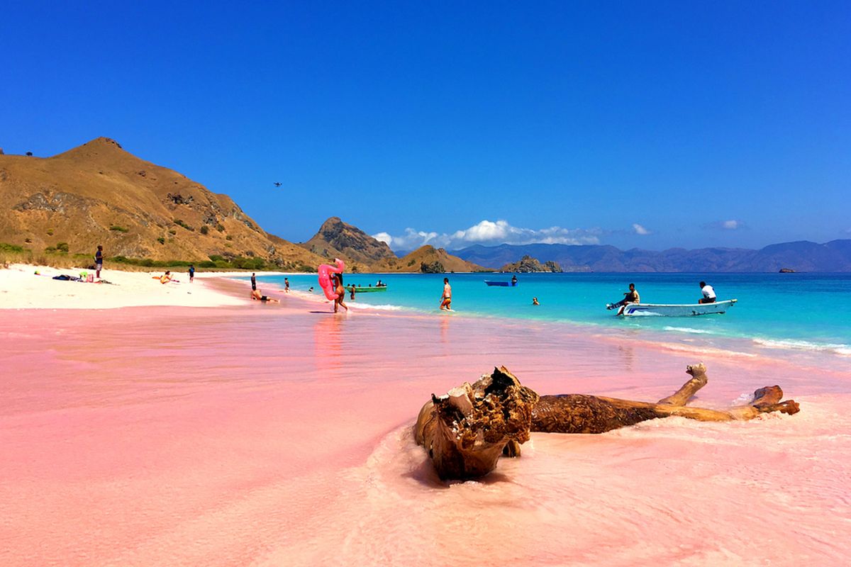 Pantai Pink